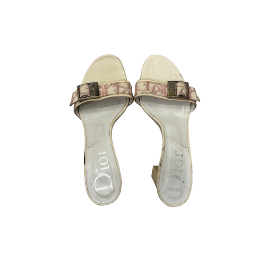 Dior Pink Trotter Logo Buckle Block Heels